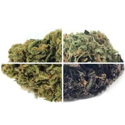 Mix & Match ★★★★★ - 112g [BULK]