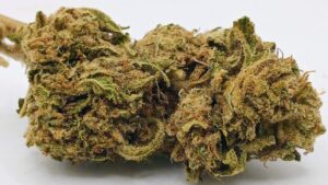 🔫AK-47🔫★★☆☆☆ – 28g