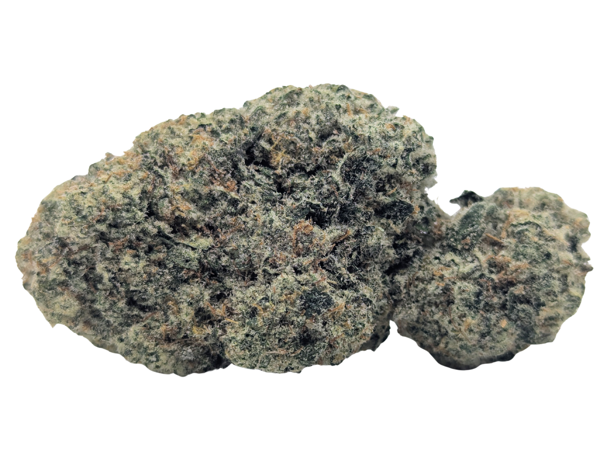 🧑‍🍳Baker's Dozen🧁 ★★★★☆ - 14g