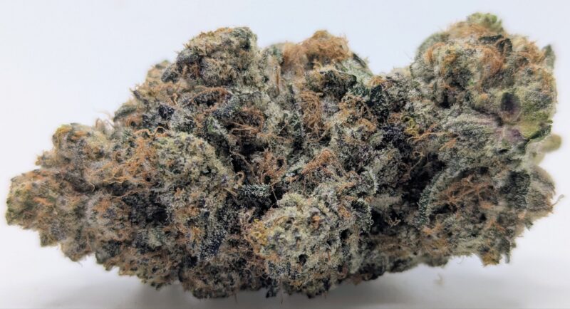 🍋 Organic Lemon Cherry Gelato🍒 ★★★★★ - 7g