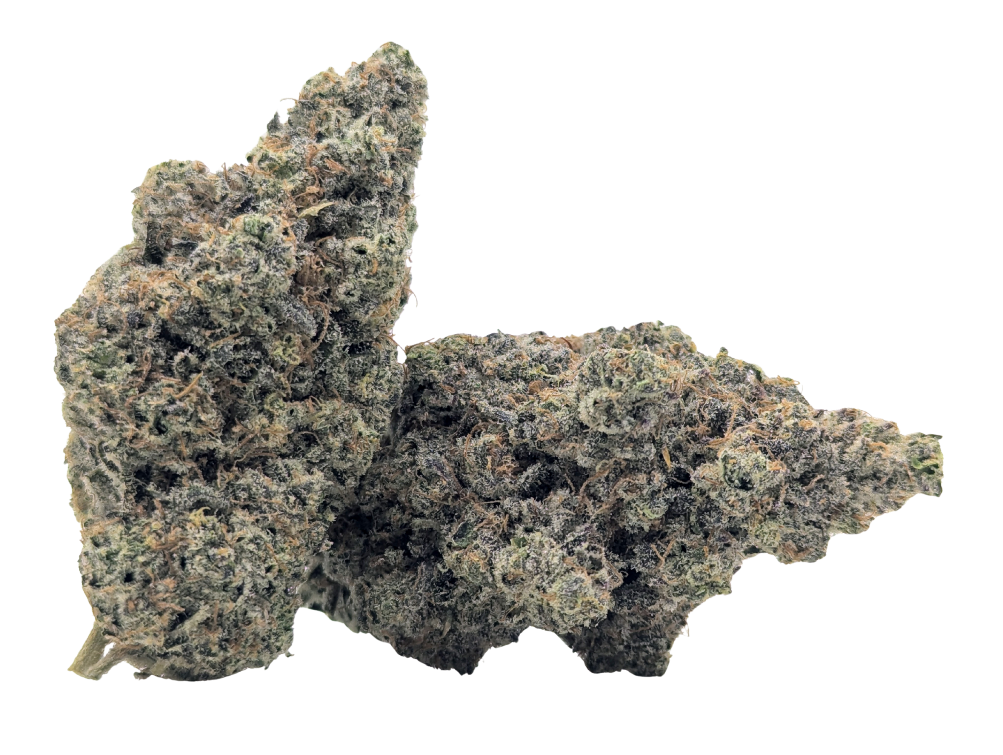 ✂️Duct Tape✂️ ★★★★☆ - 14g - Image 2