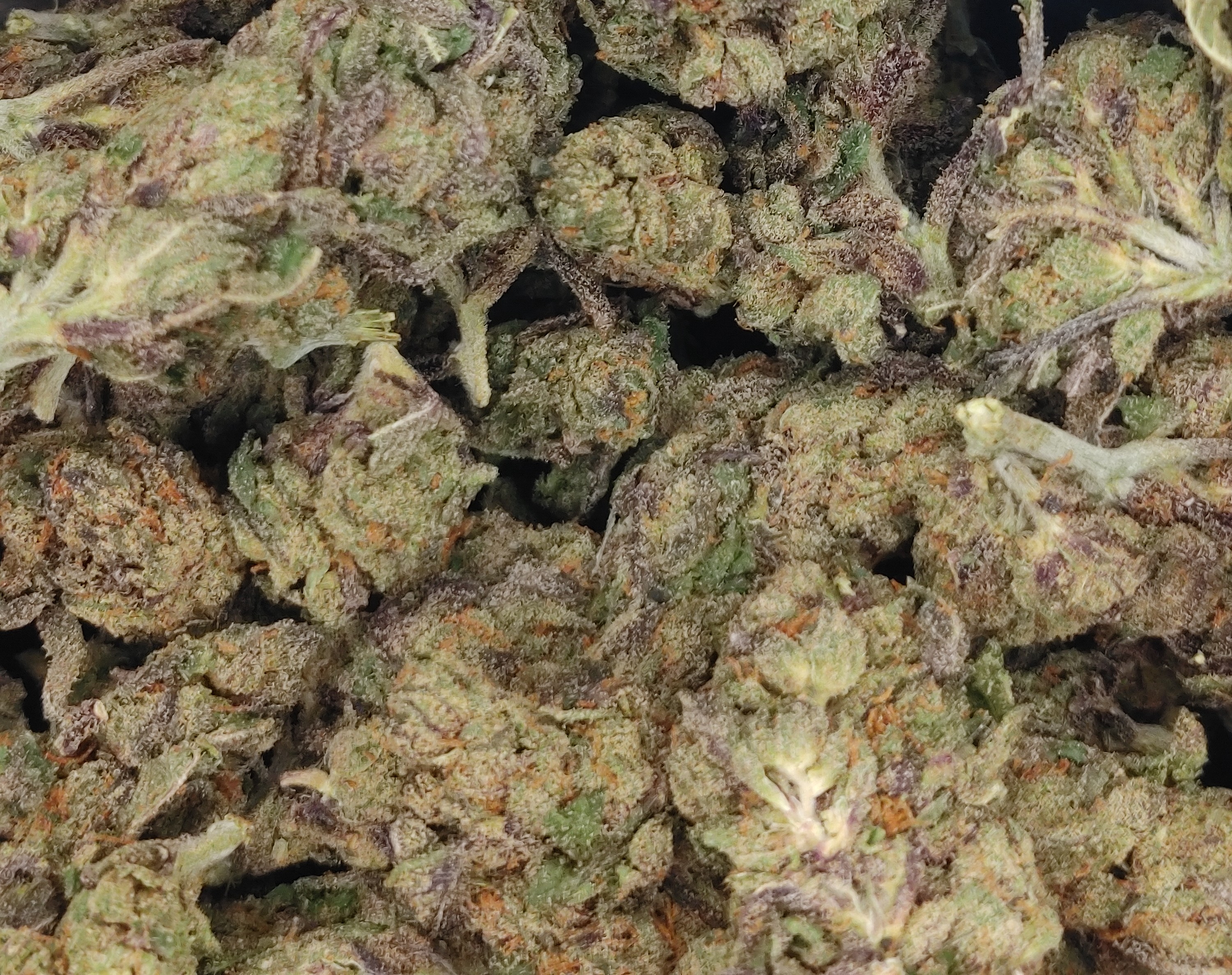 🧙‍♂️Super GDP🧙‍♂️ ★★★☆☆ - 14g