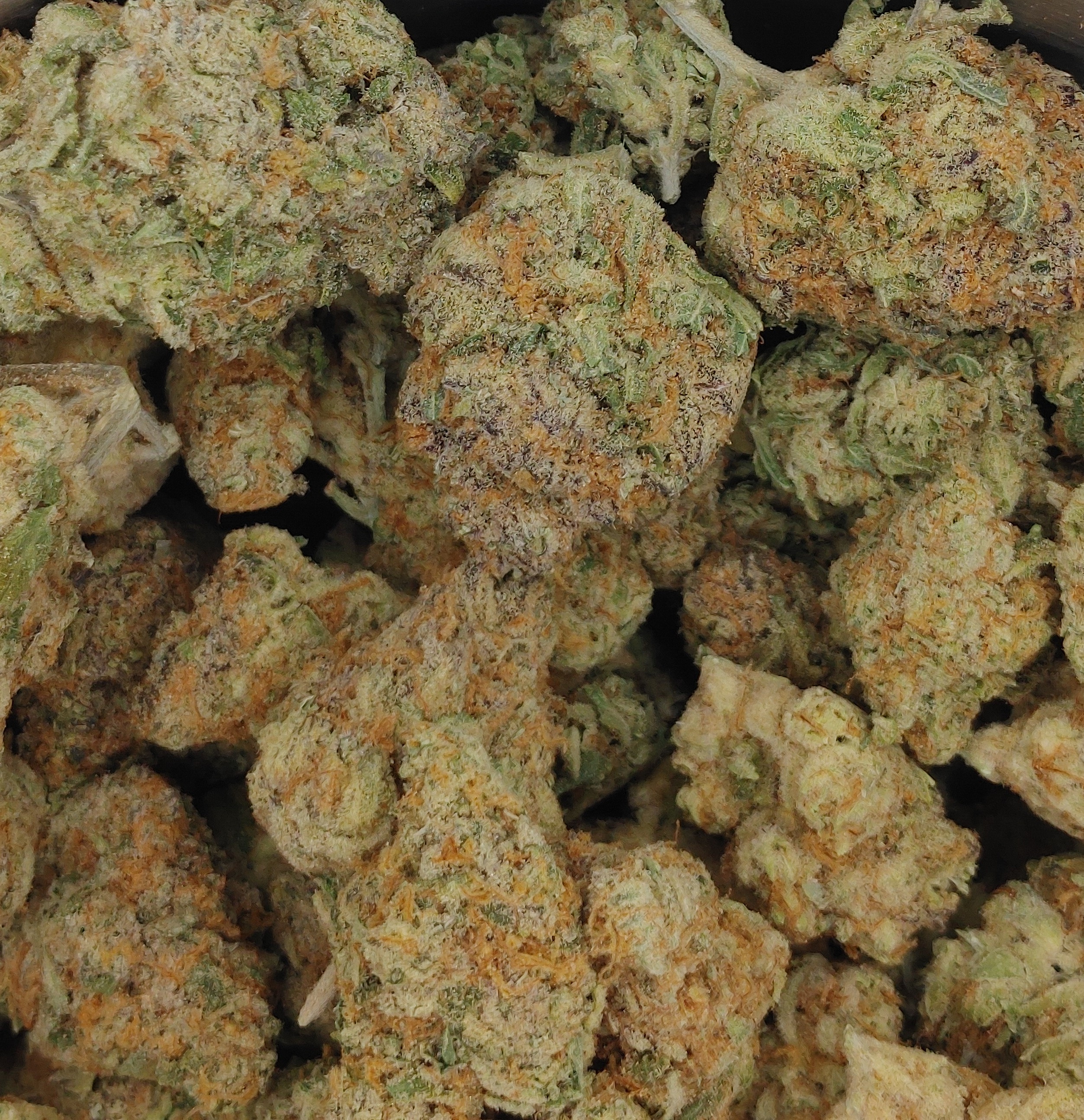 Guava Stardawg ★★★★☆ - [BULK]