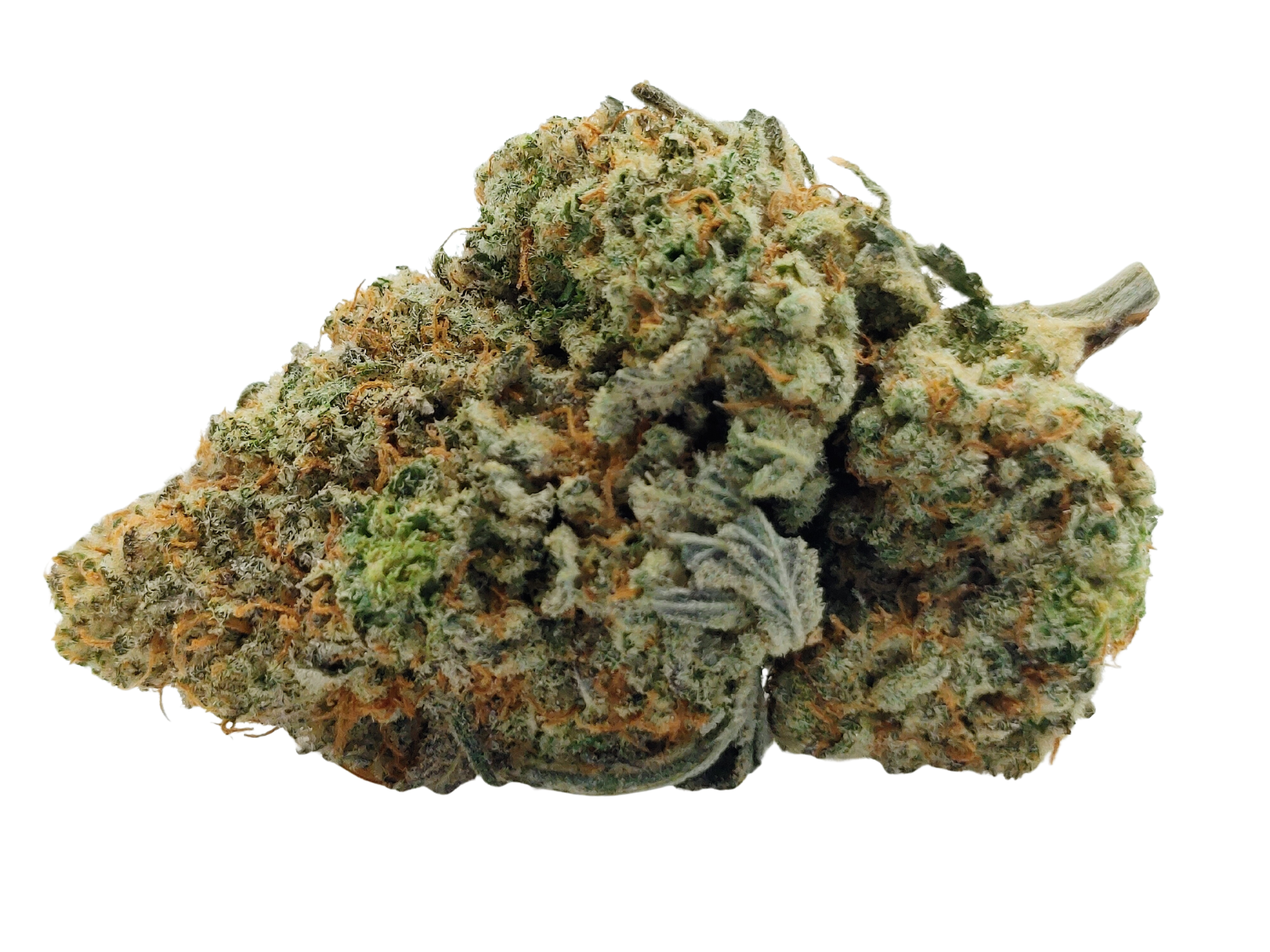 👽Miracle Alien Cookies🍪 ★★★★☆ - 14g