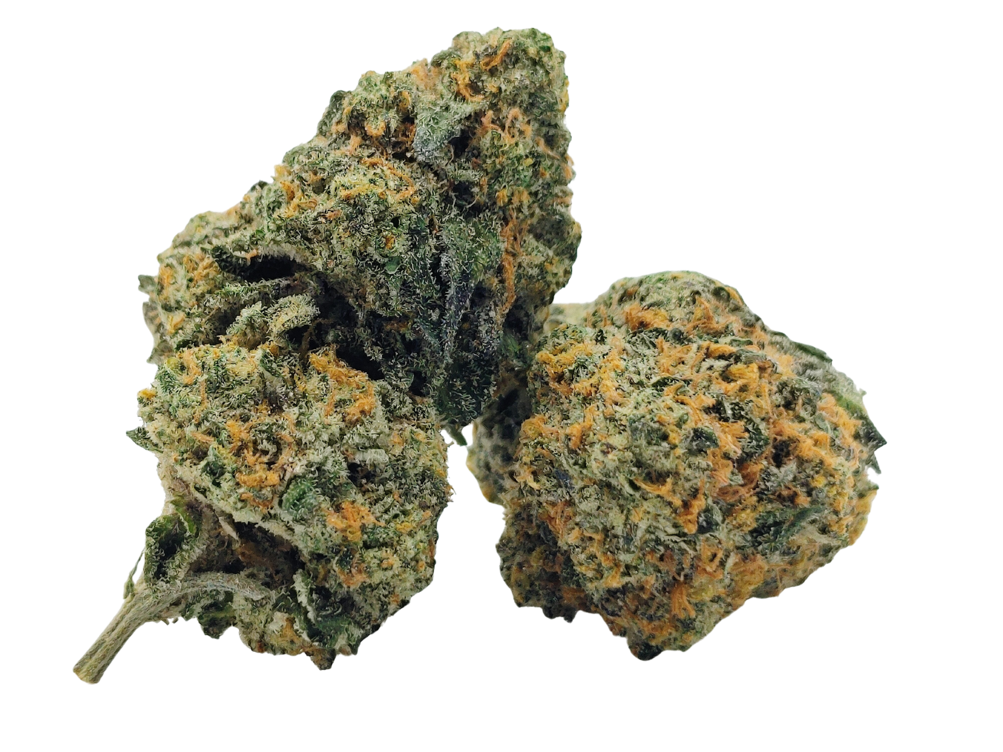 🍩Jelly Donut🍩 ★★★★☆ - 14g