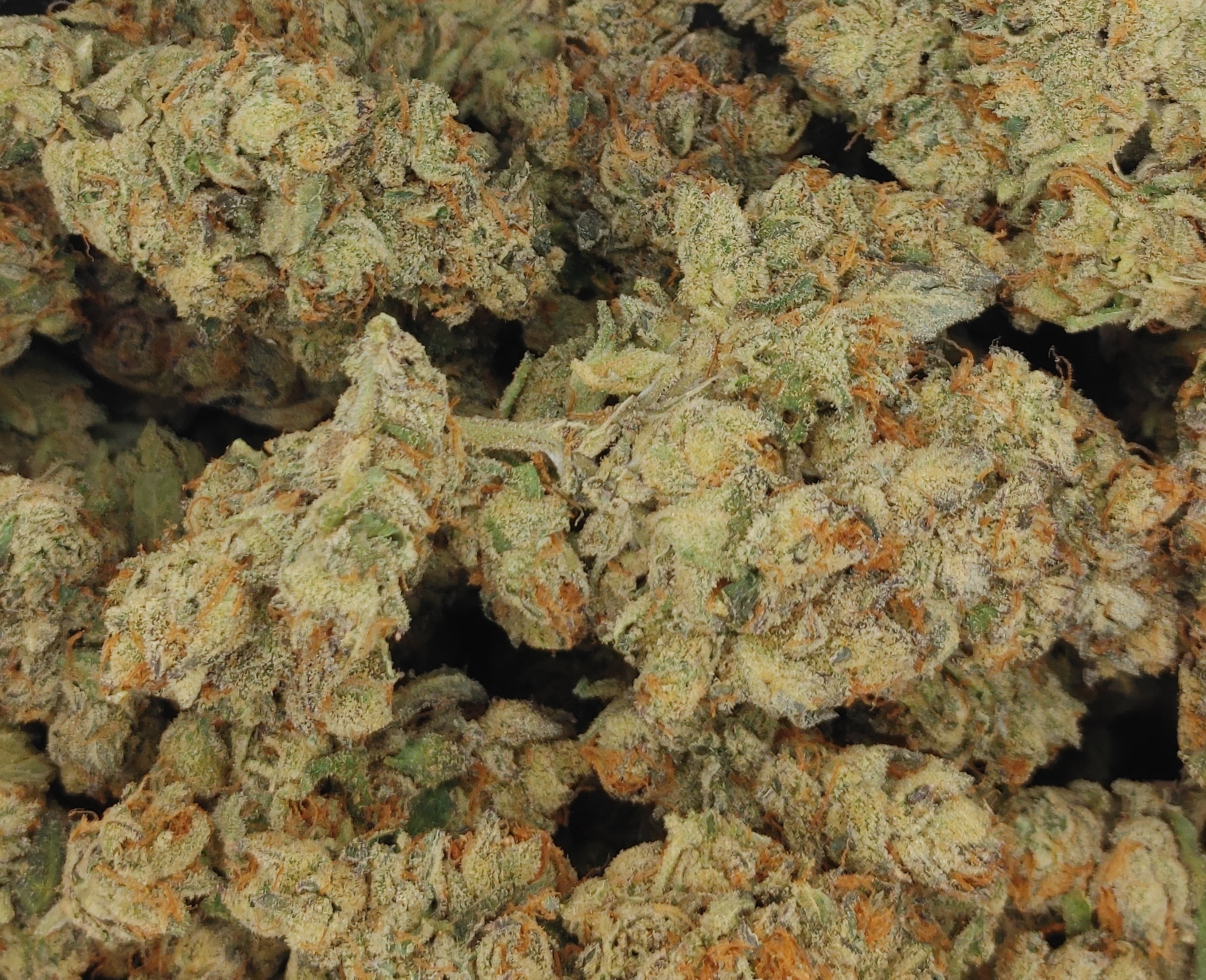 Organic Fiji Sunset ★★★★★ - 112g [BULK]