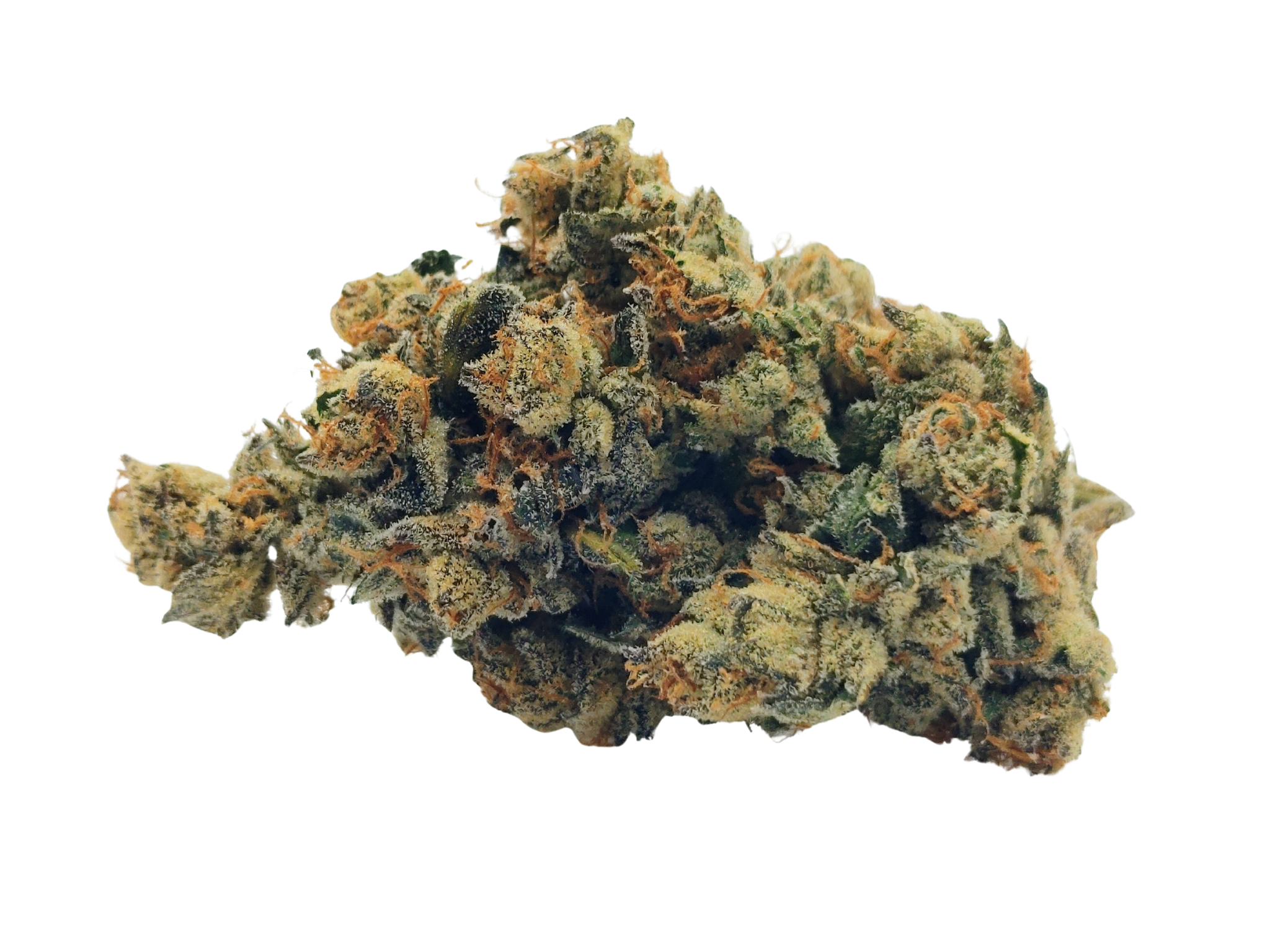πOrganic Fiji Sunsetπ
 β
β
β
β
β
 - 7g