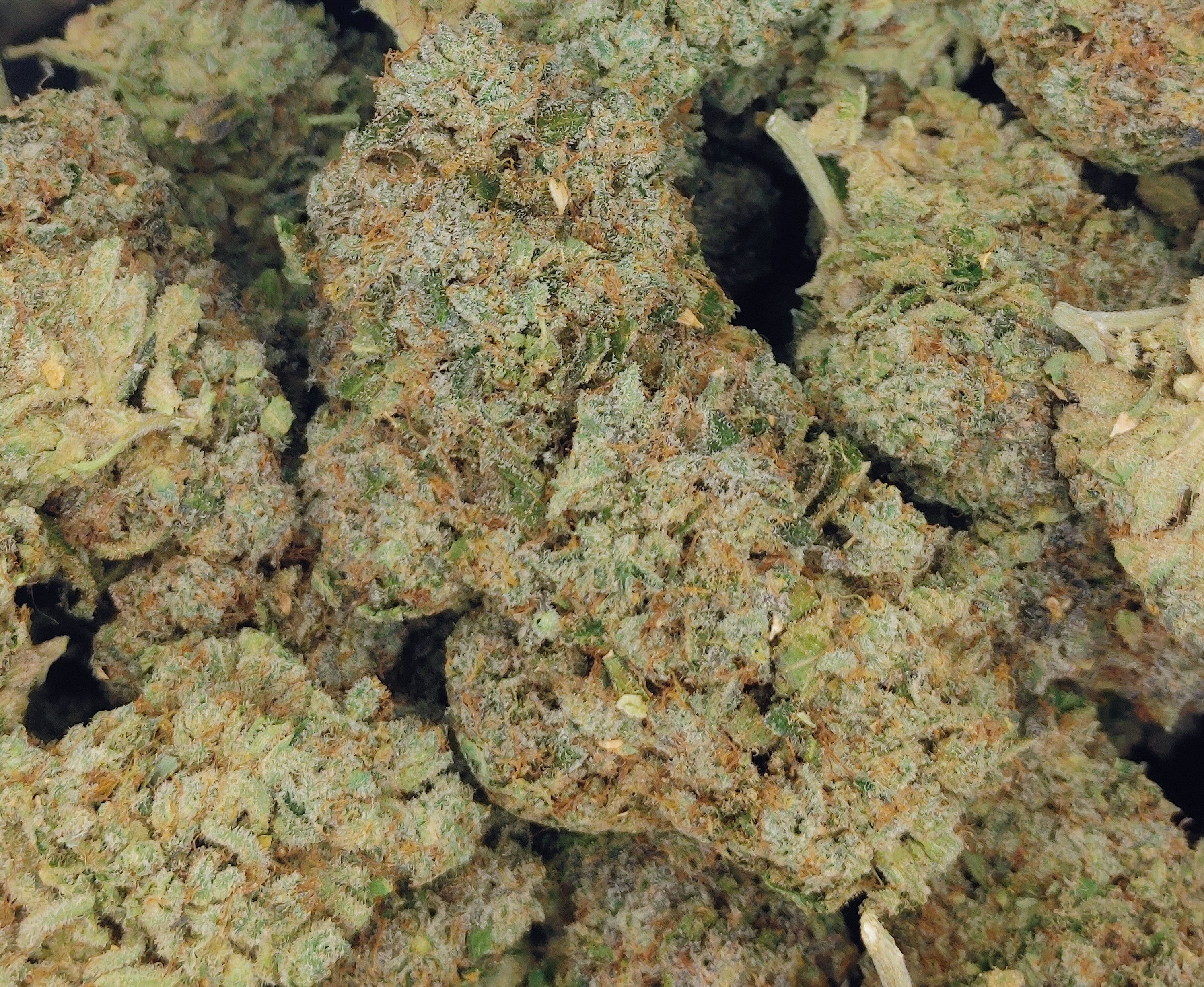 Organic The Force ★★★★★ - 112g [BULK]