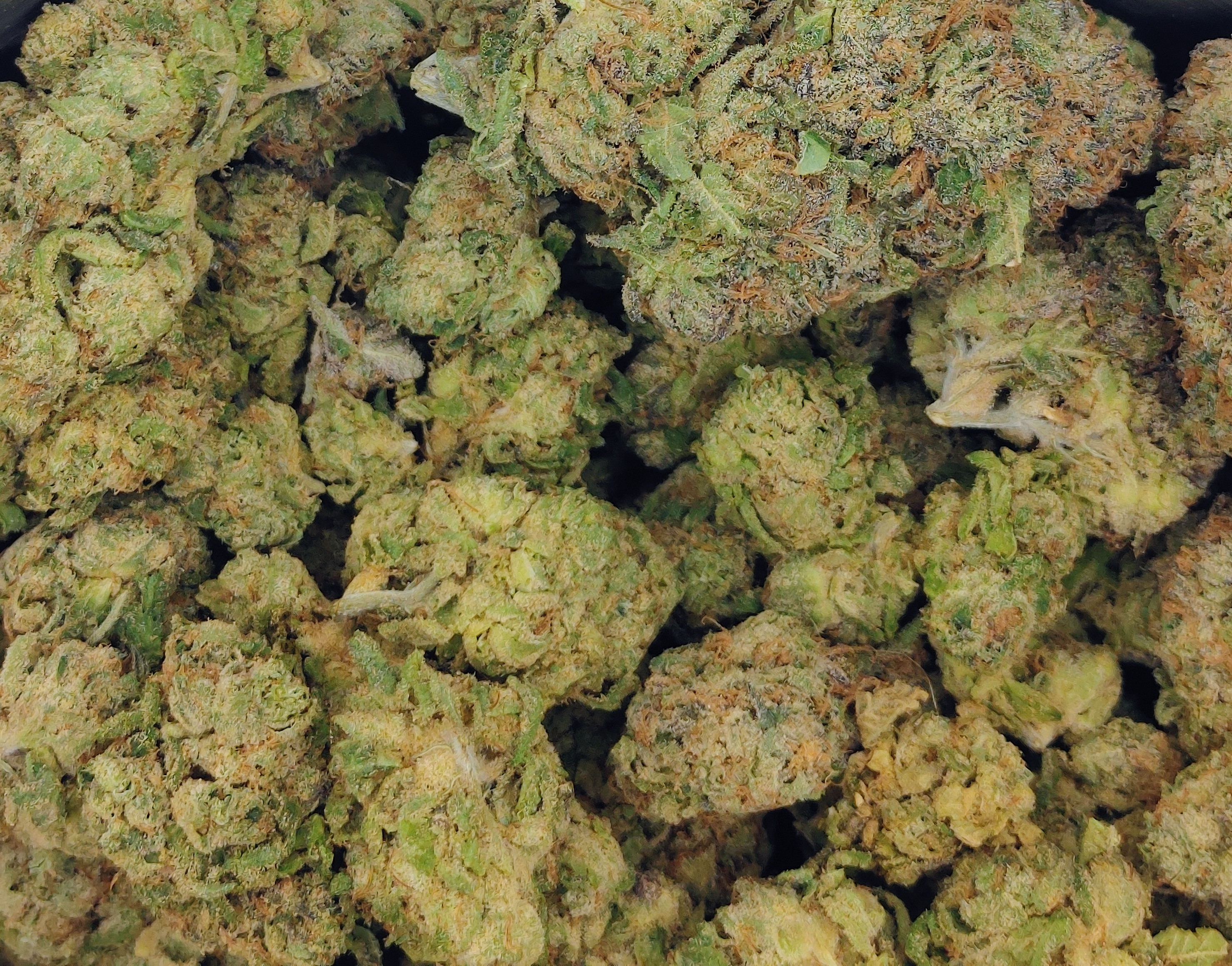 Double Lemon Pie ★★★★☆ - 112g [BULK]