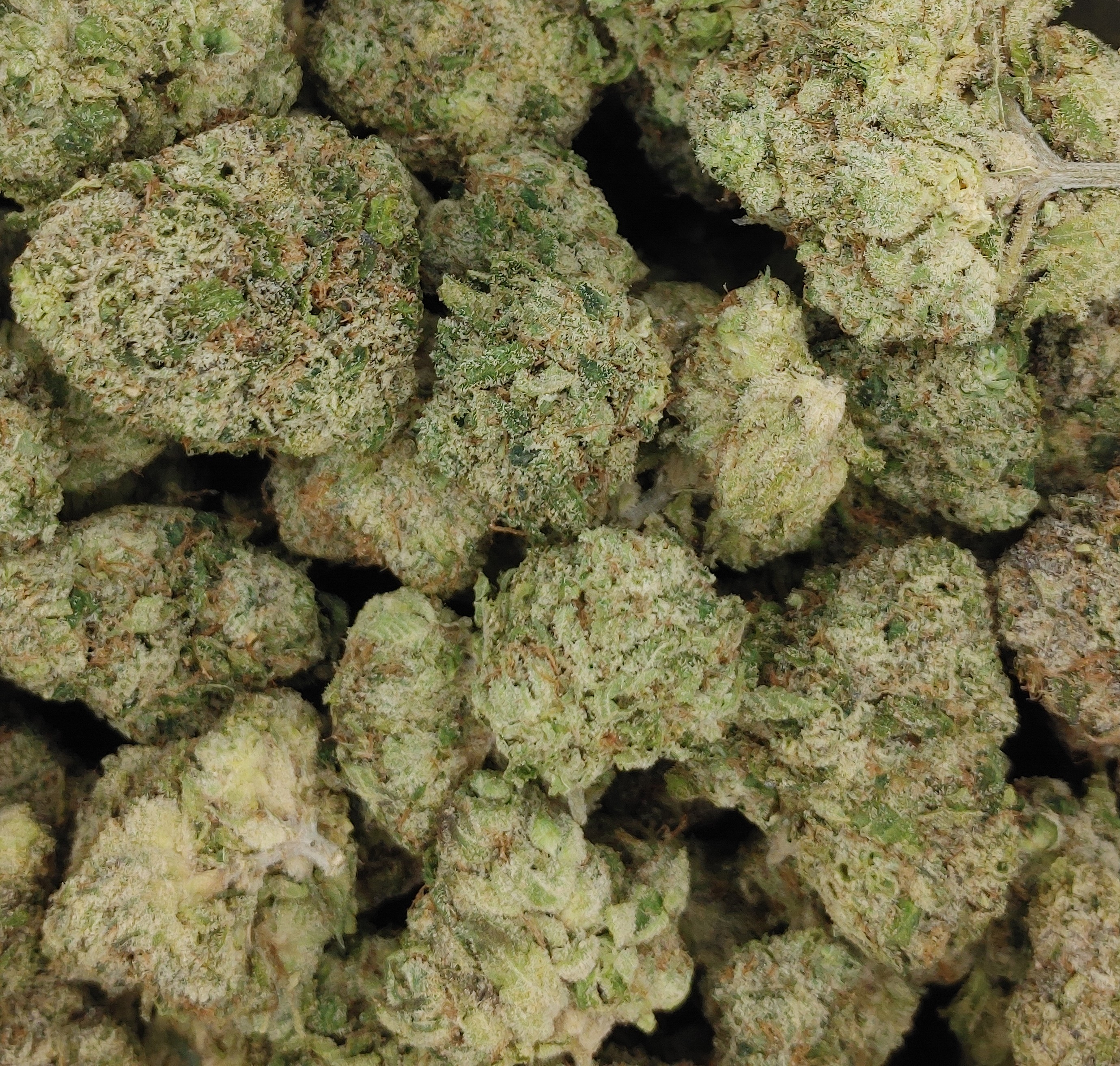 Sherbanger ★★★★★ - 112g [BULK]