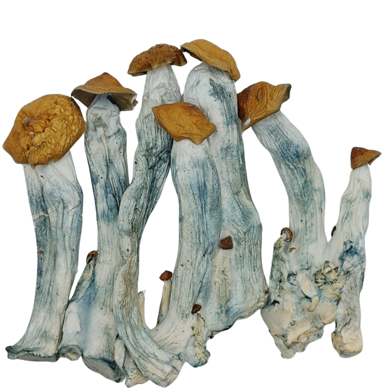 Blue Pulaski ★★★★★