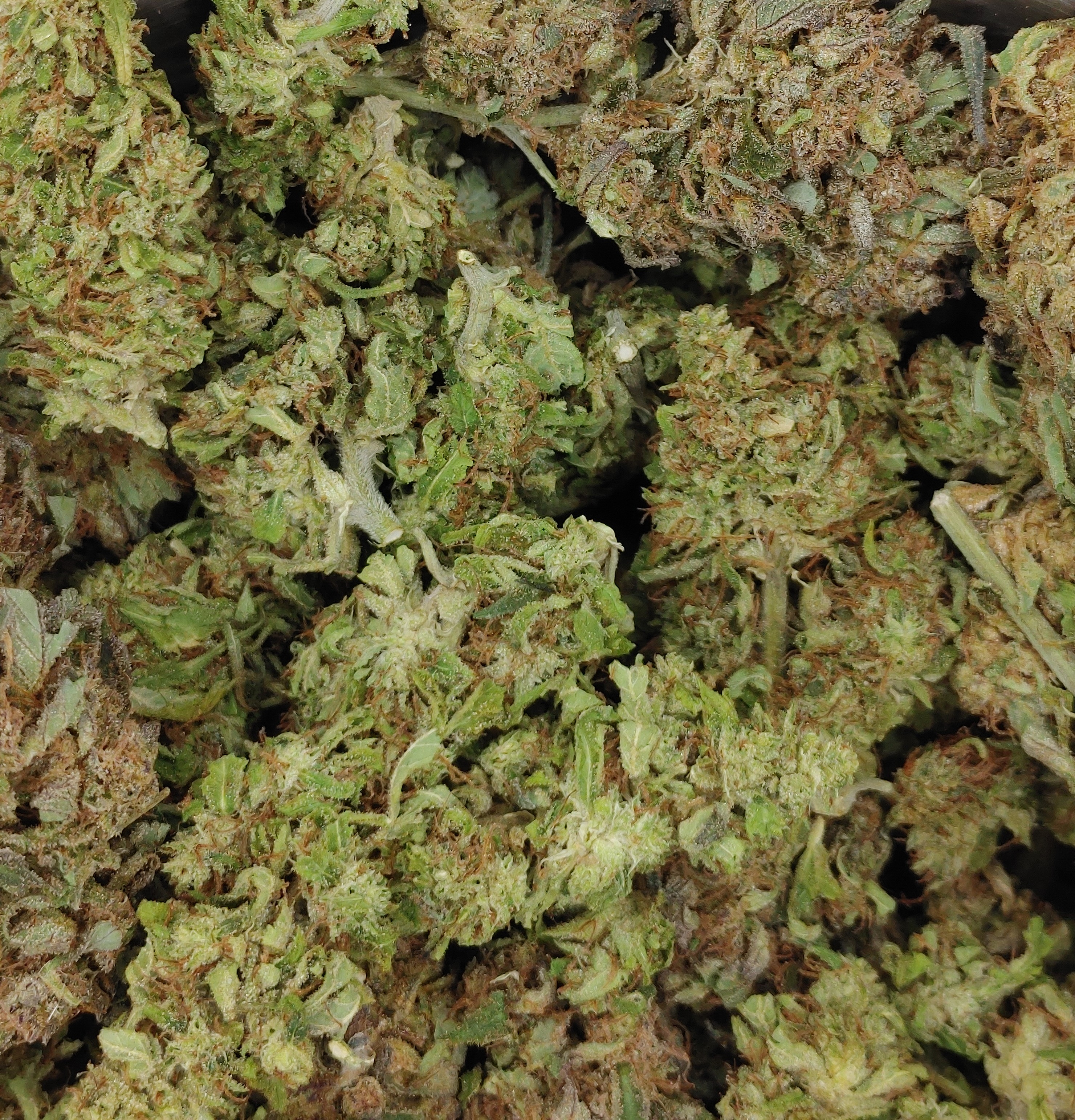 Holy Grail Kush ★★☆☆☆ - 112g [BULK]