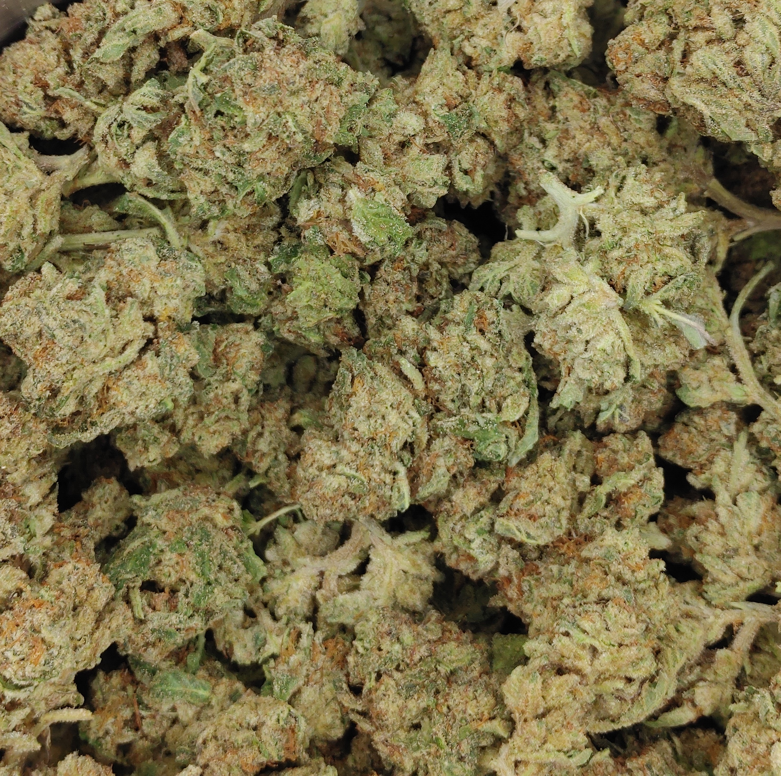 Forbidden Fruit ★★★☆☆ - 112g [BULK]