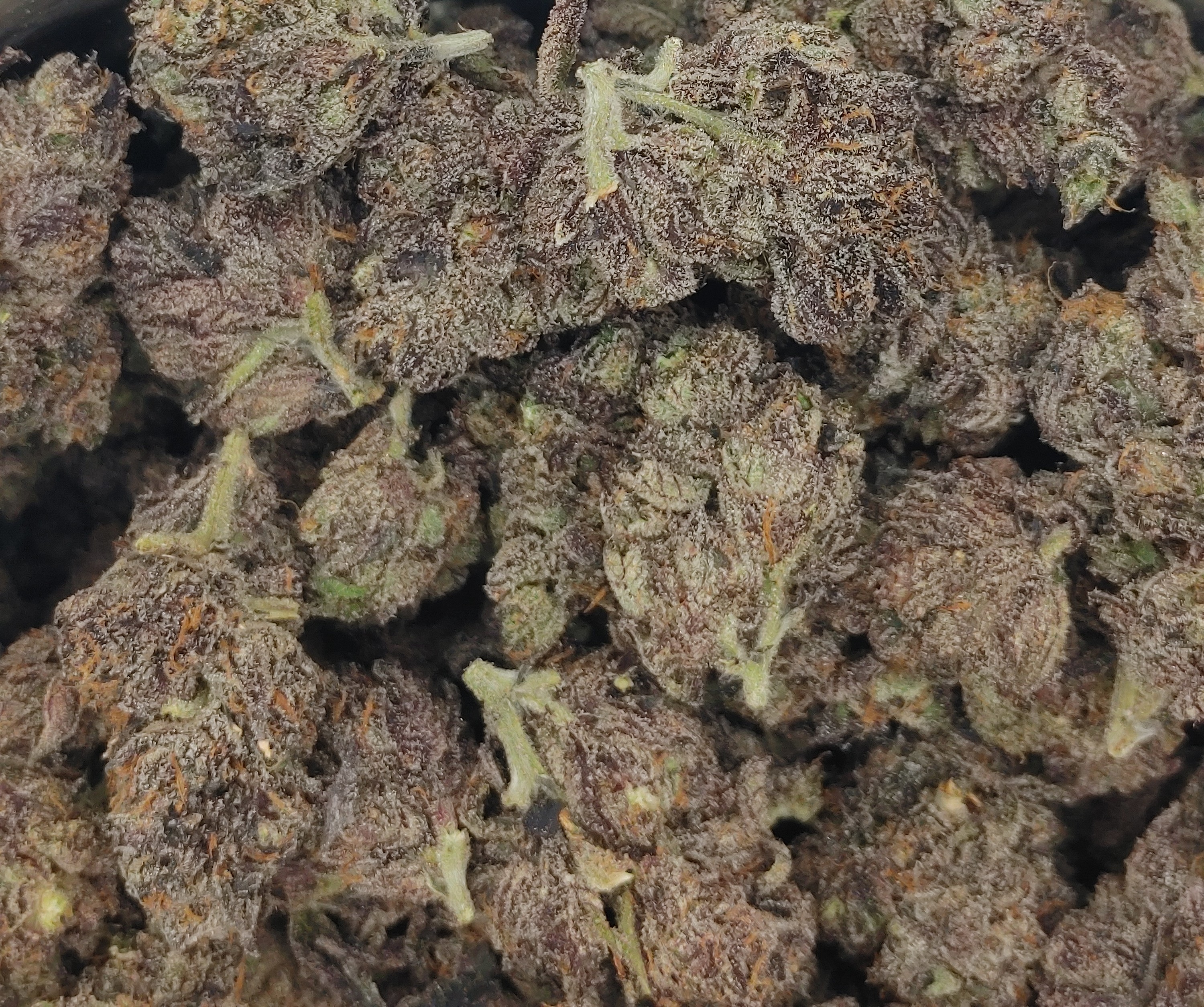 Sherb Cream Pie ★★★★★ - 112g [BULK]