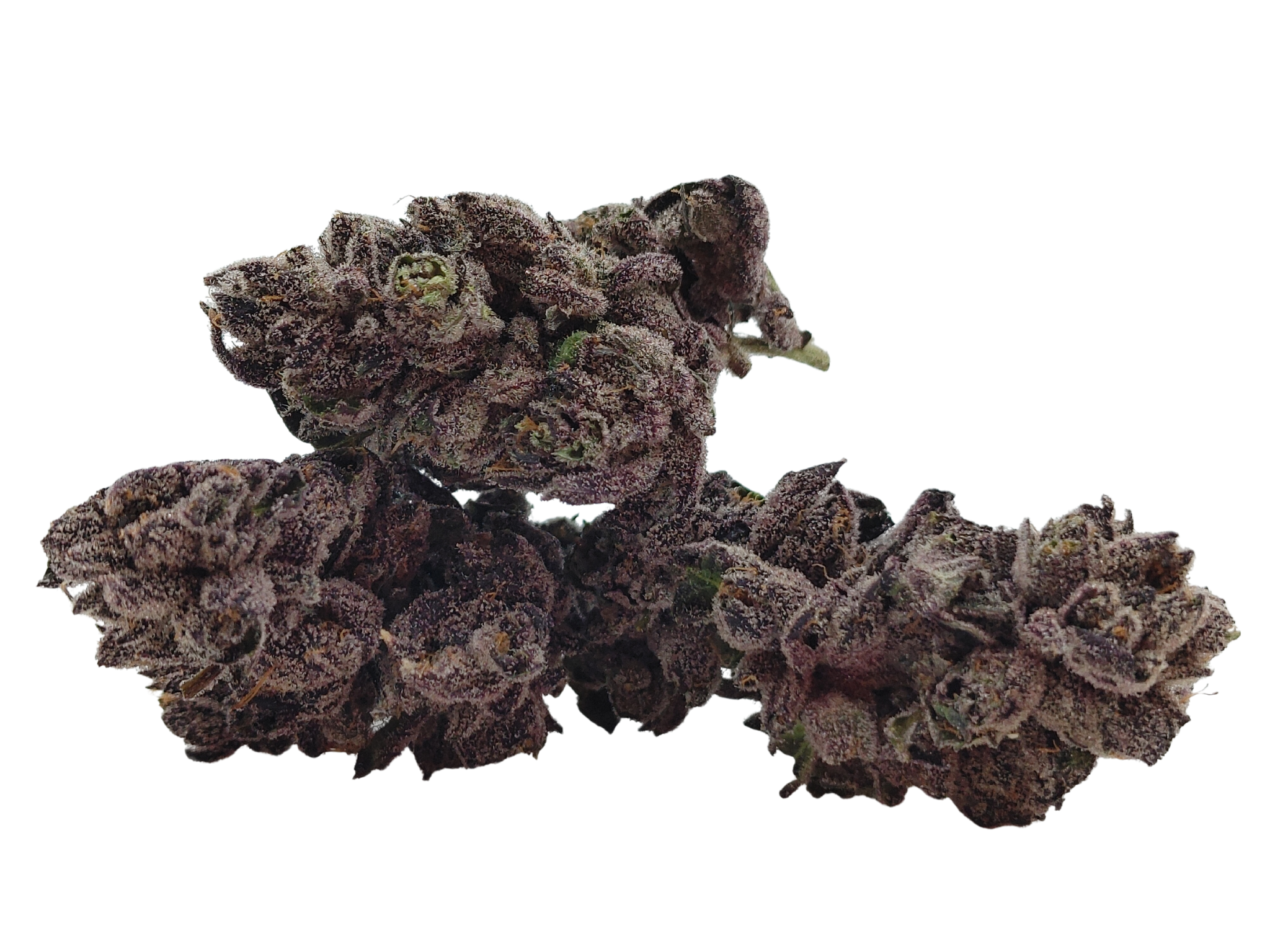 💘Zupid💘 ★★★★★ - 7g