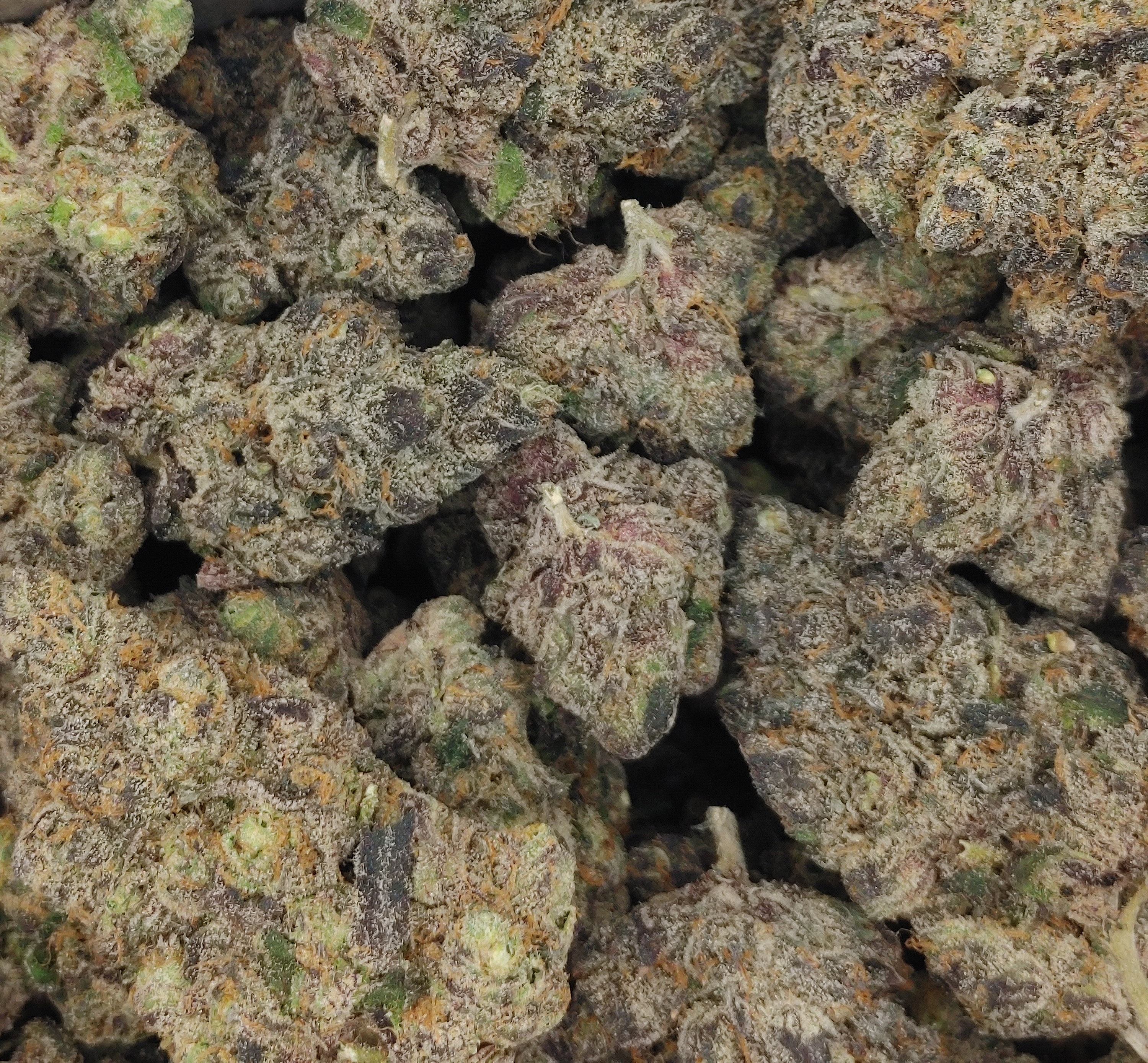 Orange Is The New Black Lime ★★★★★ - 112g [BULK]