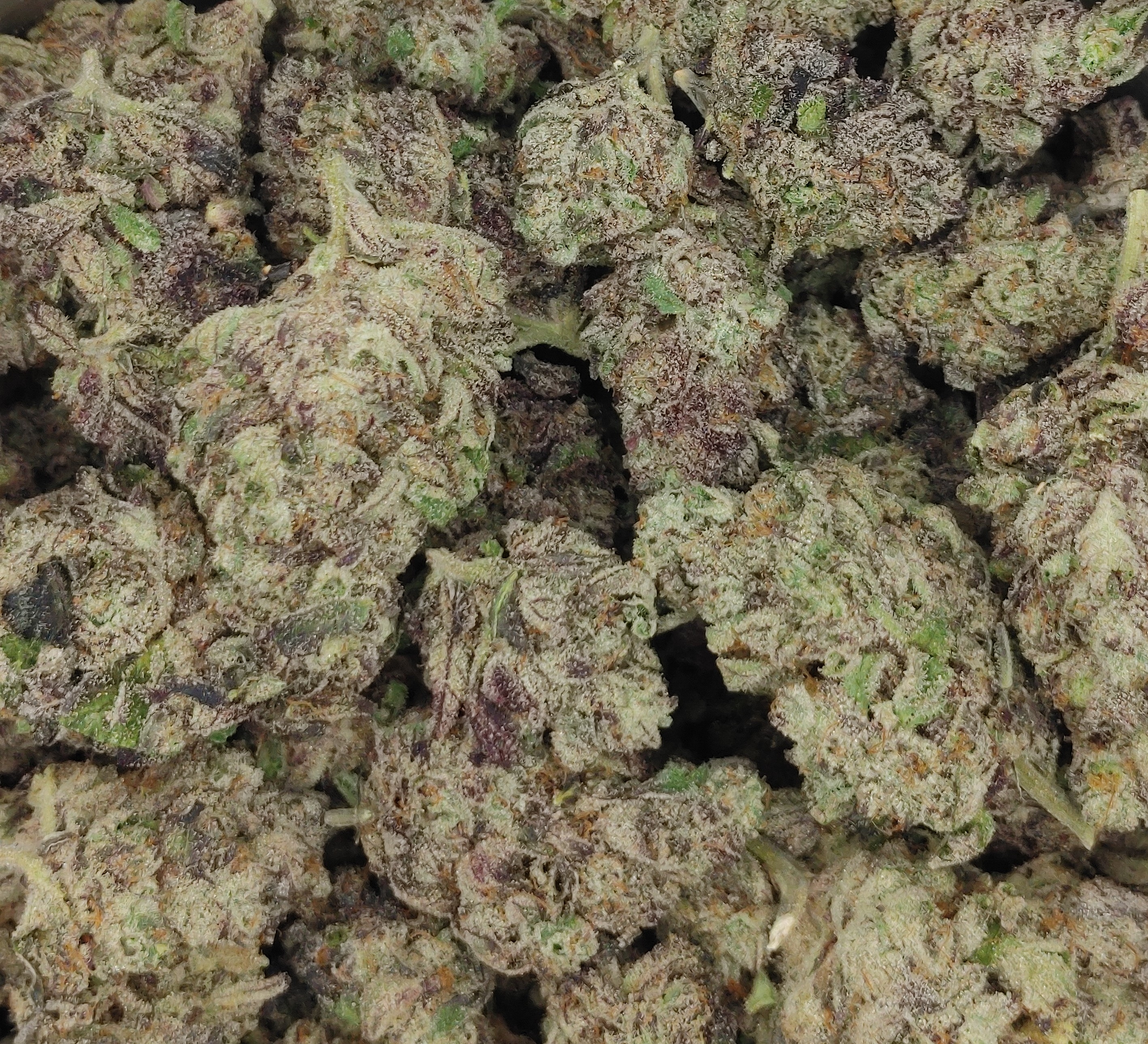 Tear Gas ★★★★★ - 112g [BULK]