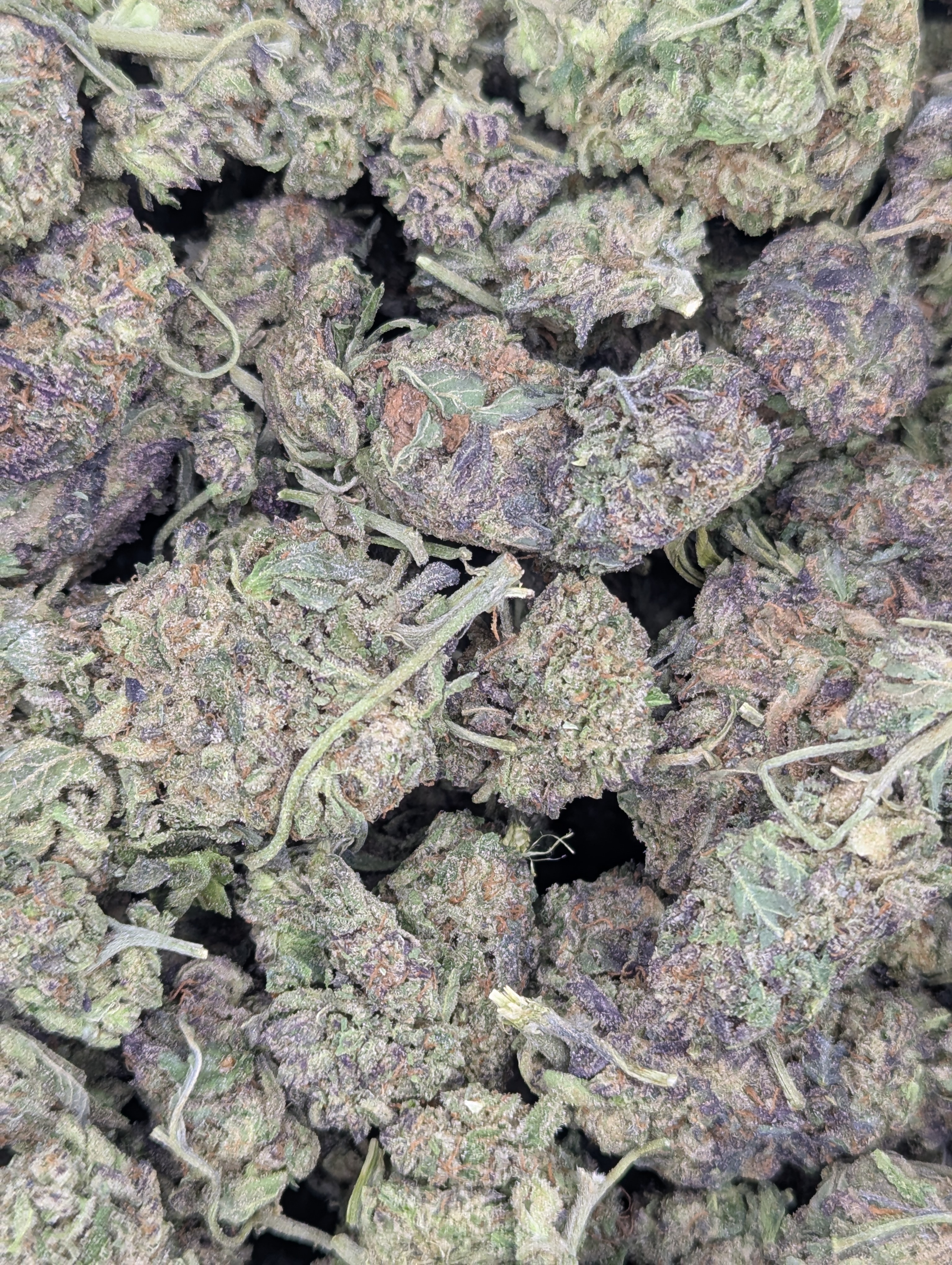 🦼Purple Wheelchair🦼 ★★☆☆☆ - 28g