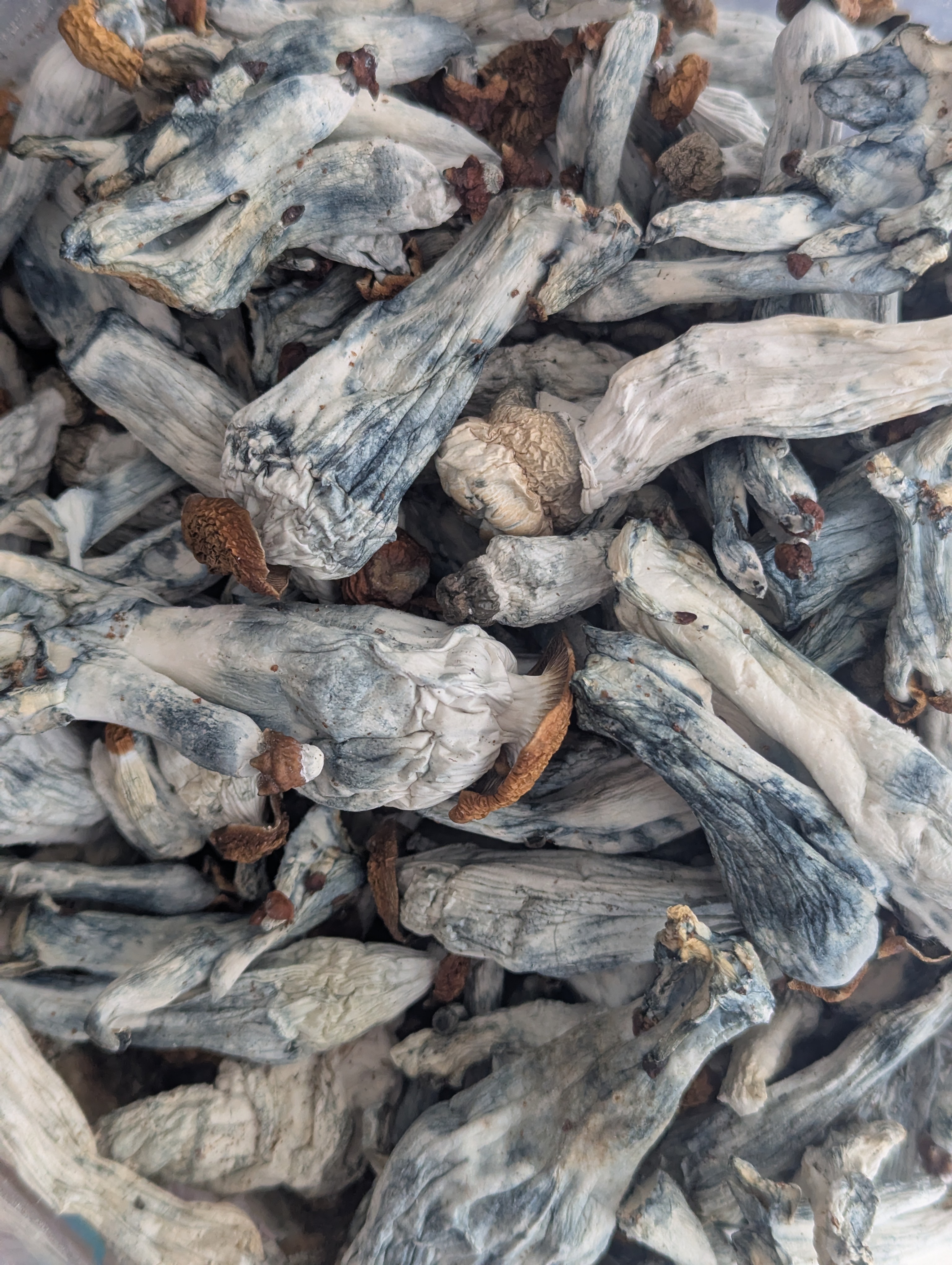 Blue Pulaski ★★★★★ - 112g [BULK]