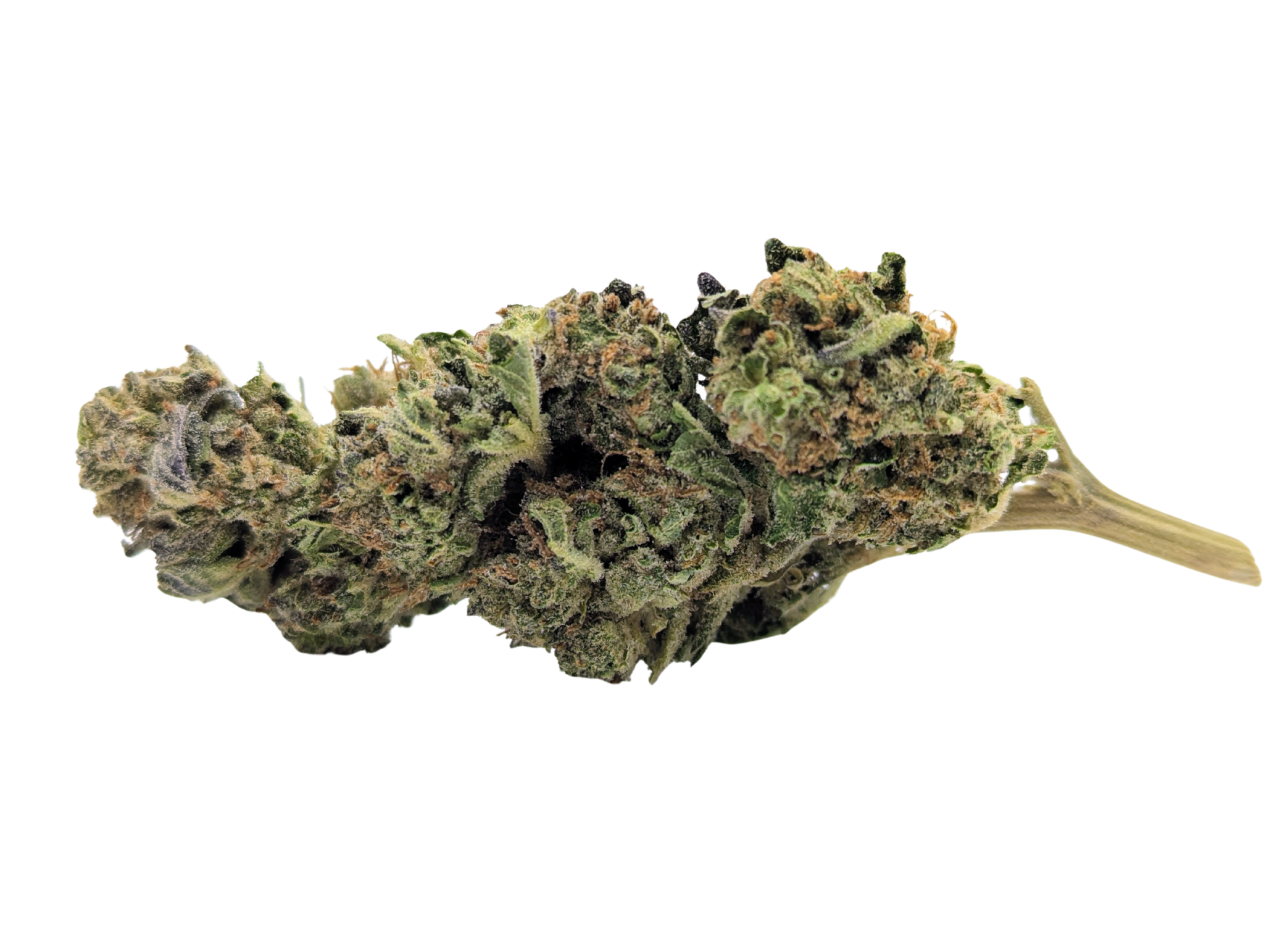 🍉Fruit Loops🍇 ★★☆☆☆ - 28g