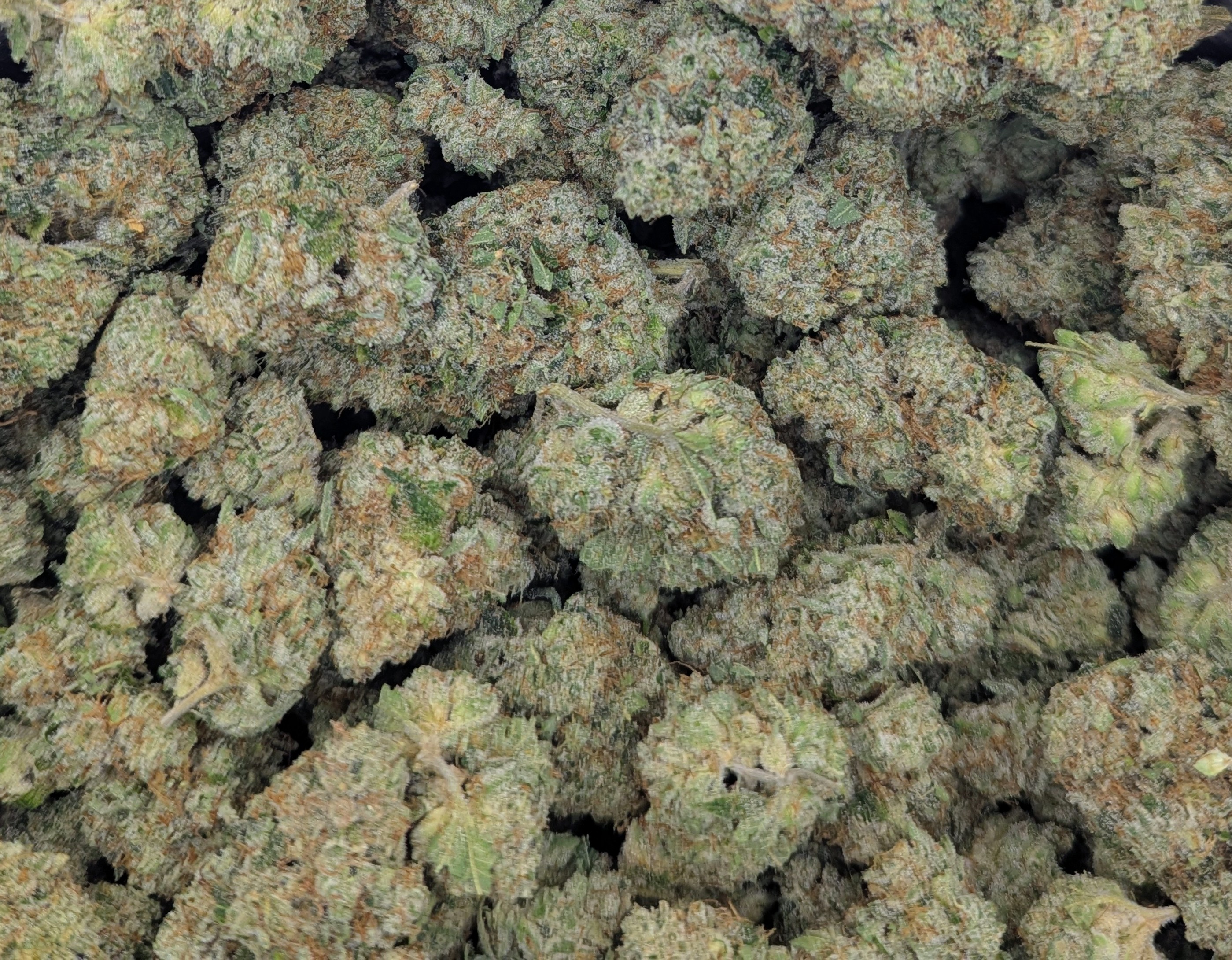 Triangle Kush ★★★★☆ - 112g [BULK]