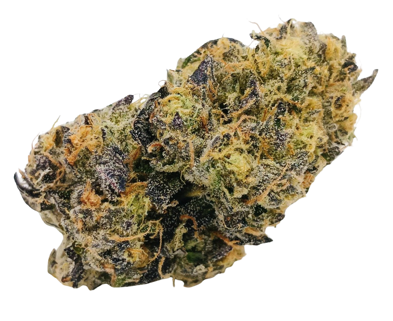 💃Selene♥️ ★★★★★ - 7g