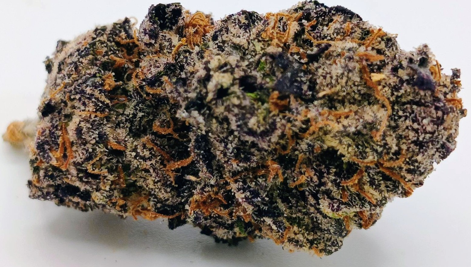 🌇Kapri Sun🌞 ★★★★★ - 7g