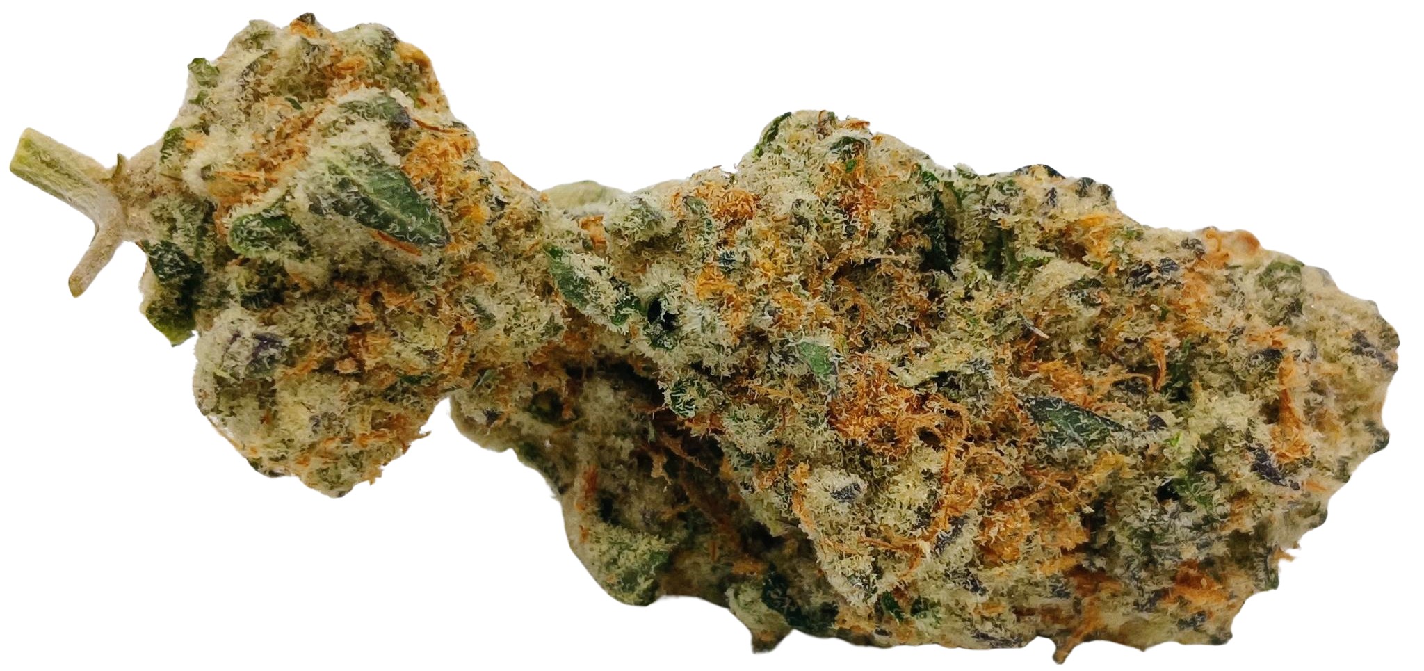 🍬Blue Sugar Cookies🍪 ★★★★★ - 7g