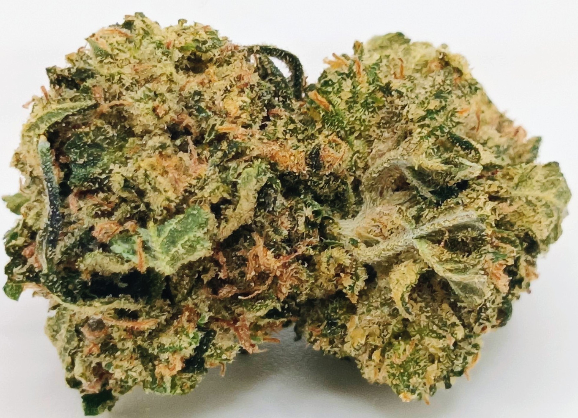 🛢️Greasy Runtz💦 ★★★☆☆ - 14g [Popcorn]