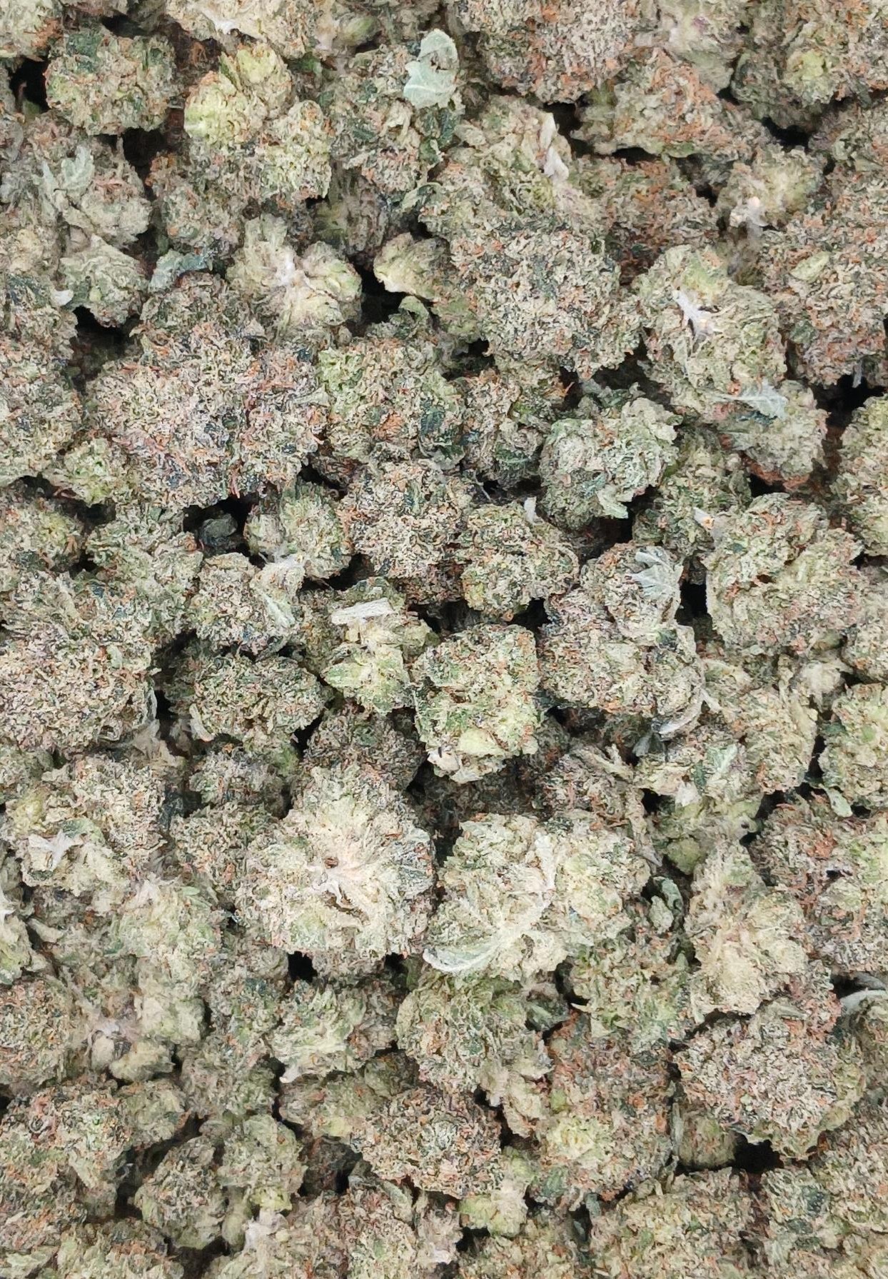 Greasy Runtz ★★★☆☆ - 112g [BULK Popcorn]