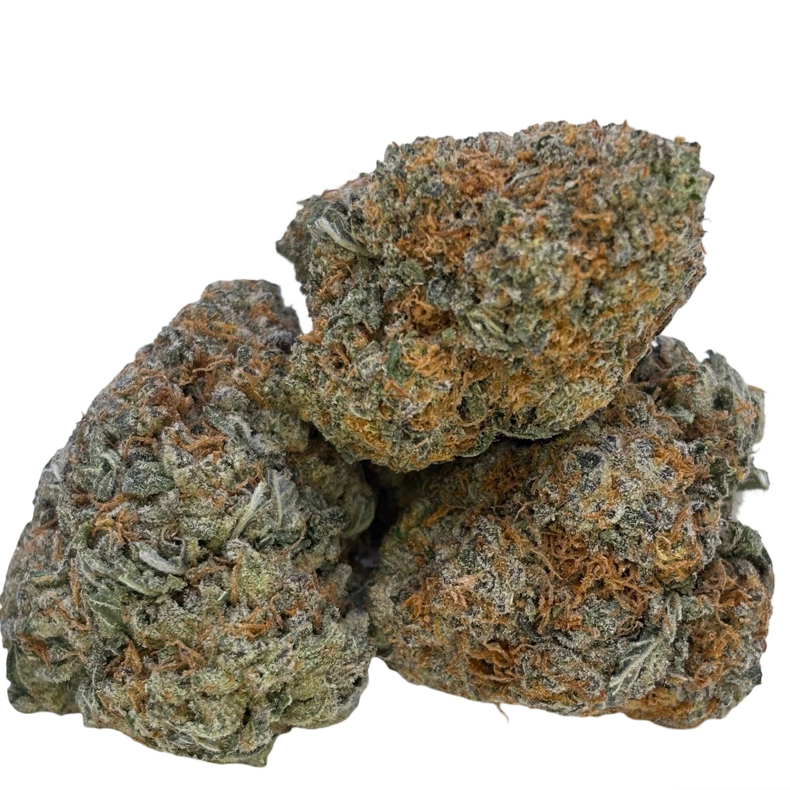 Gastro Pop – 112g BULK cannabis flower buds