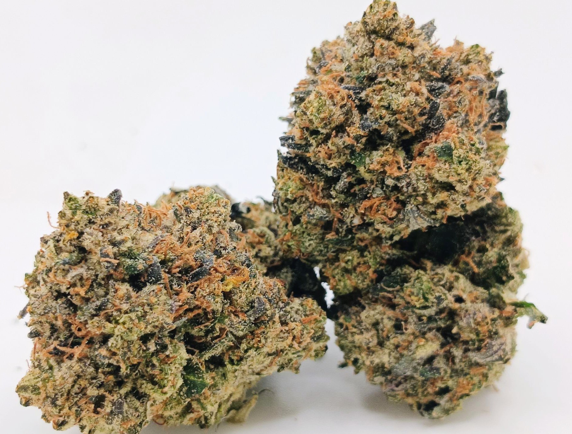 π Bluefin Tunaπ β
β
β
β
β
- 7g - Image 2