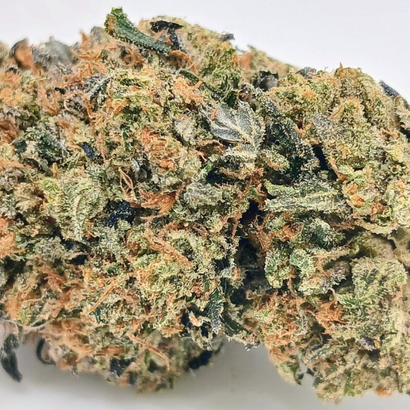 🐟 Bluefin Tuna🐟 ★★★★★ - 7g