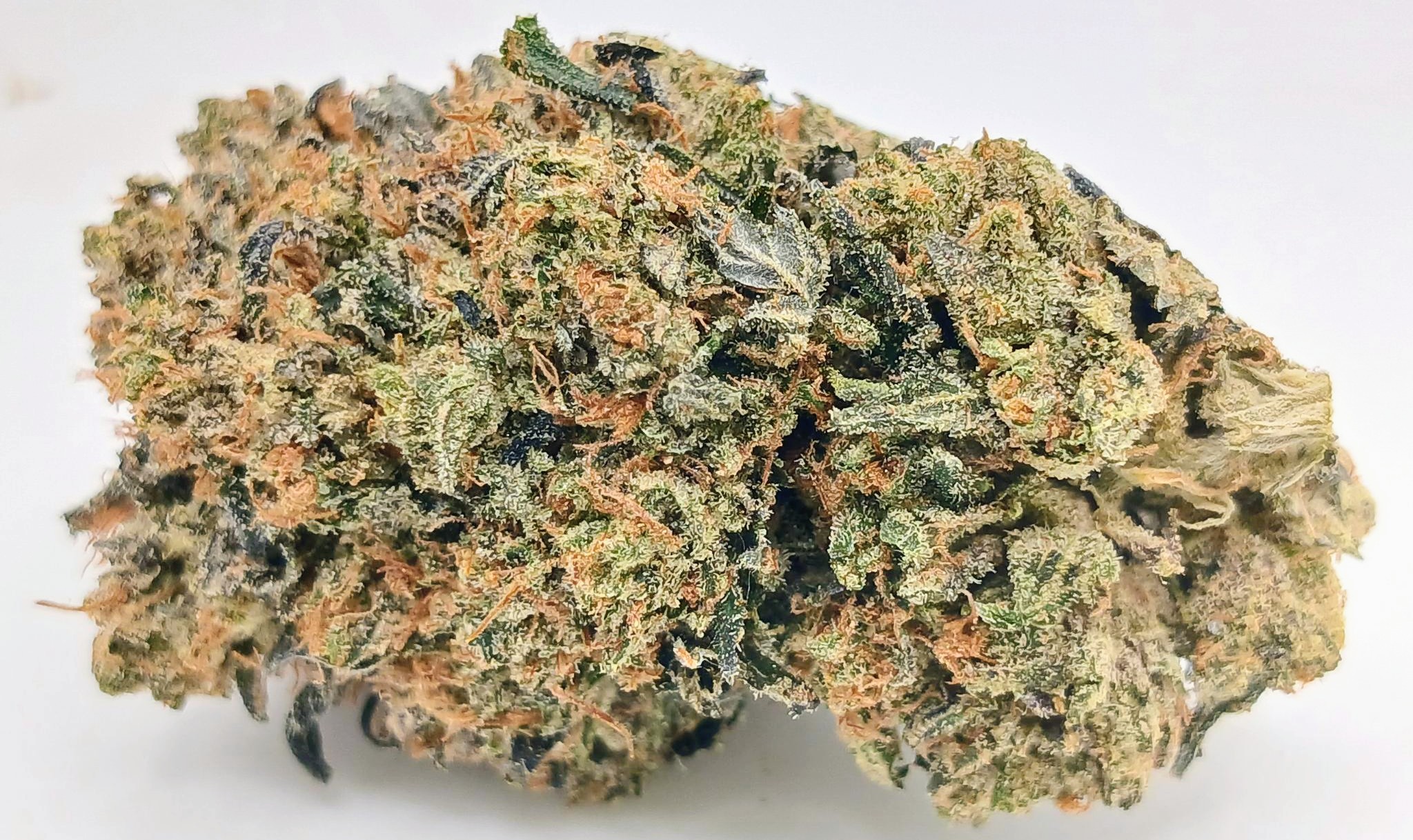 🐟 Bluefin Tuna🐟 ★★★★★ - 7g