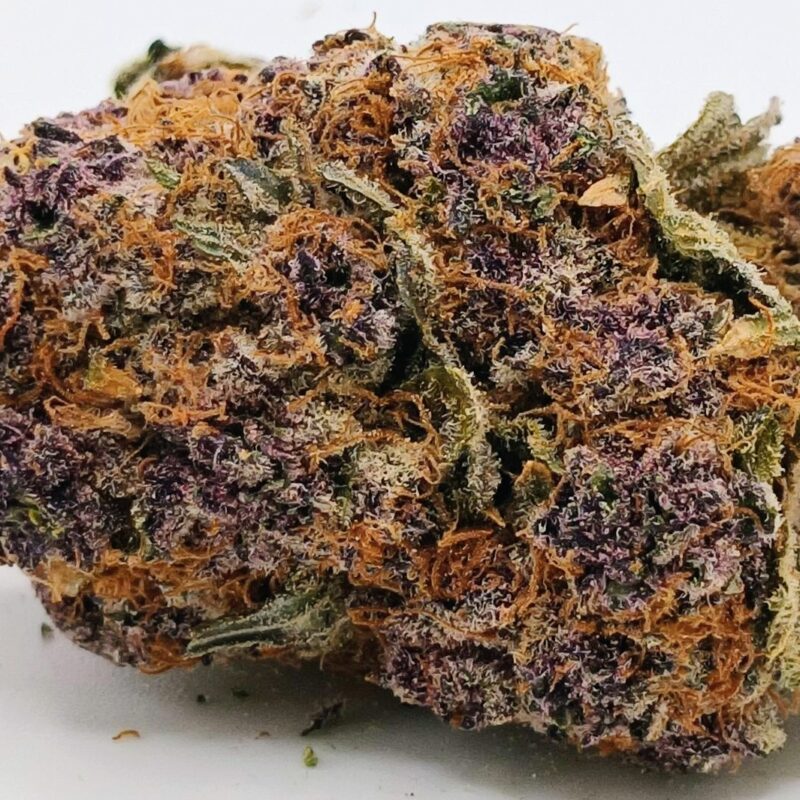 🏝️Trop Cherry🍒 ★★★★★ - 7g