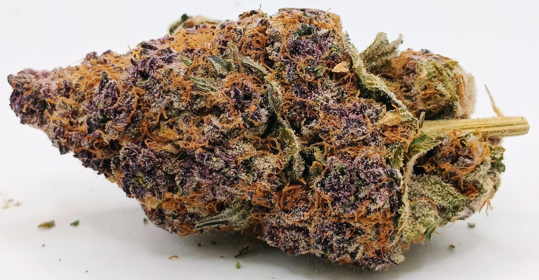 🏝️Trop Cherry🍒 ★★★★★ - 7g