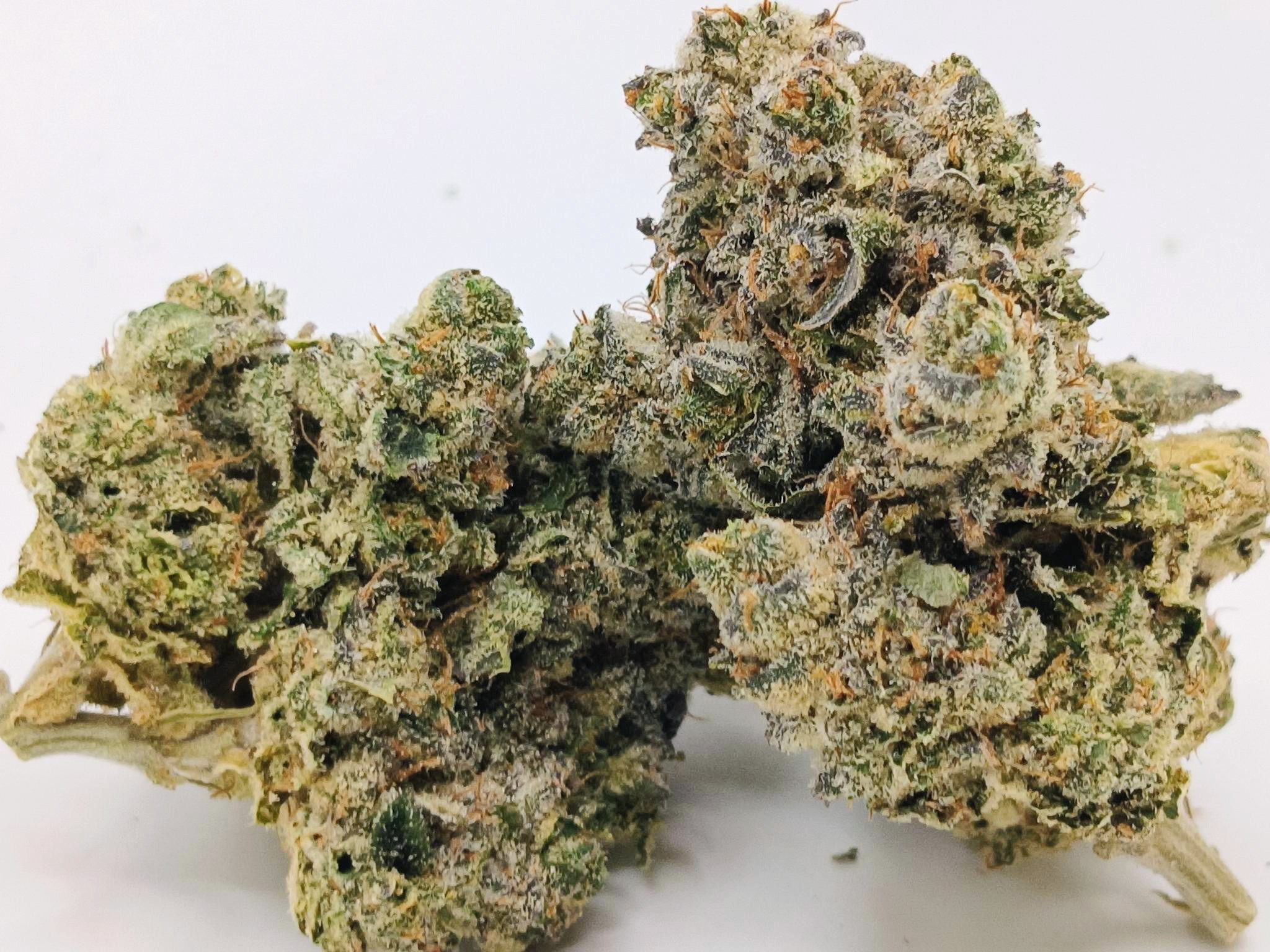 👅Stripper Glitter🪩 ★★★★★ - 7g - Image 2