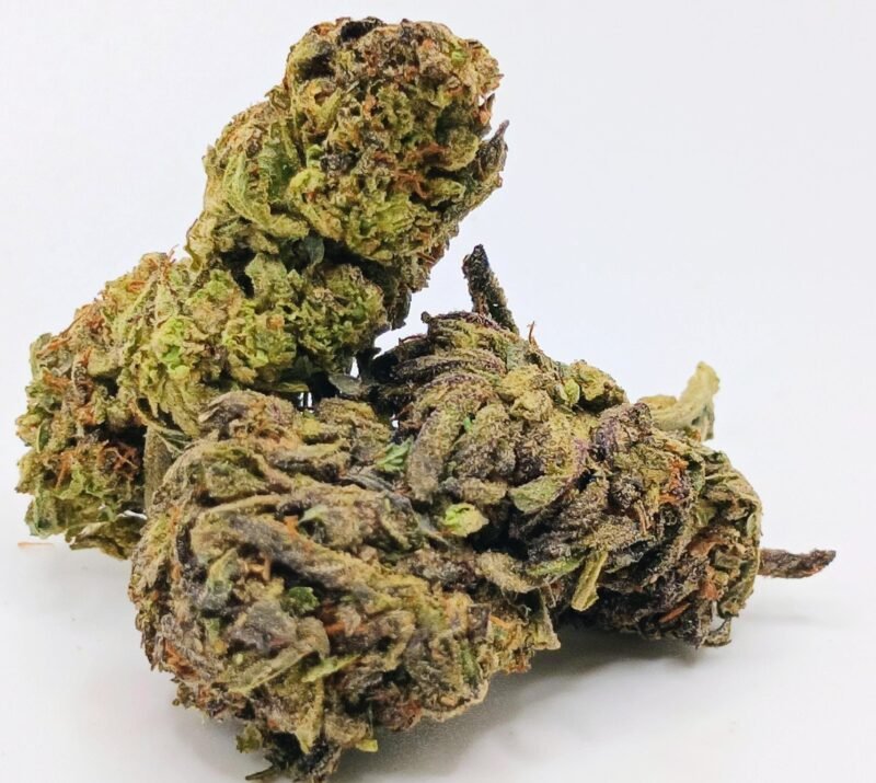 Gastro Pop – 14g cannabis flower buds