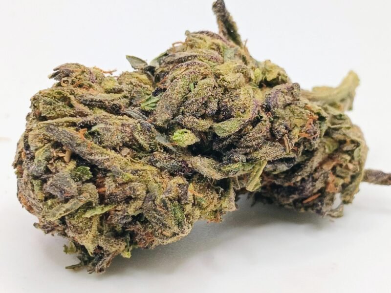 Gastro Pop – 14g cannabis flower buds