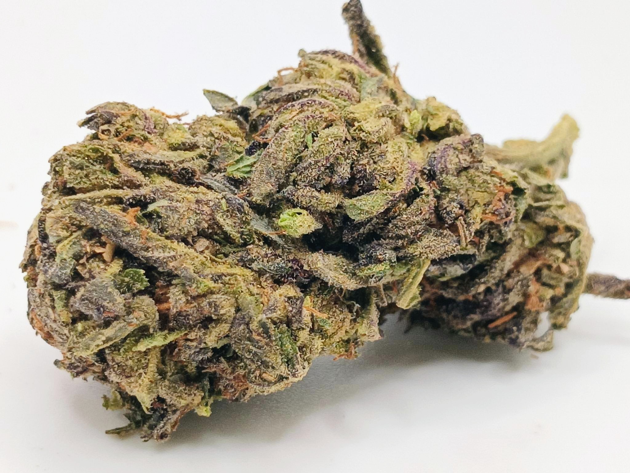 ⛽Gastro Pop🤯 ★★★☆☆ - 14g