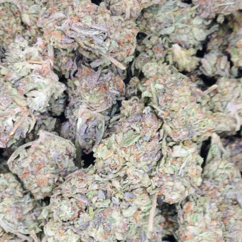 Gastro Pop ★★★☆☆ - 112g [BULK]