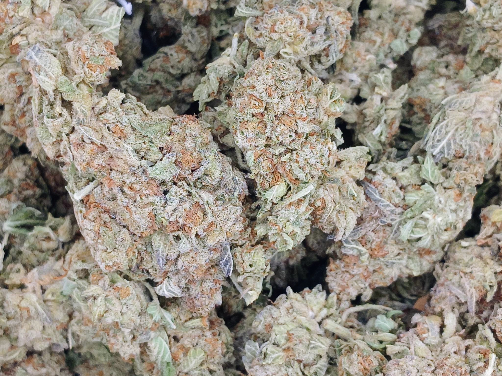 Funky Pine ★★★☆☆ - 112g [BULK]