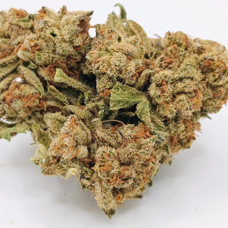 🕺Funky Pine🕺 ★★★☆☆ - 14g