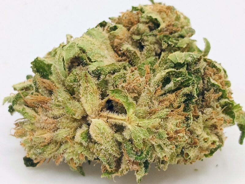 💪Big Bud💪 ★★★☆☆ - 14g