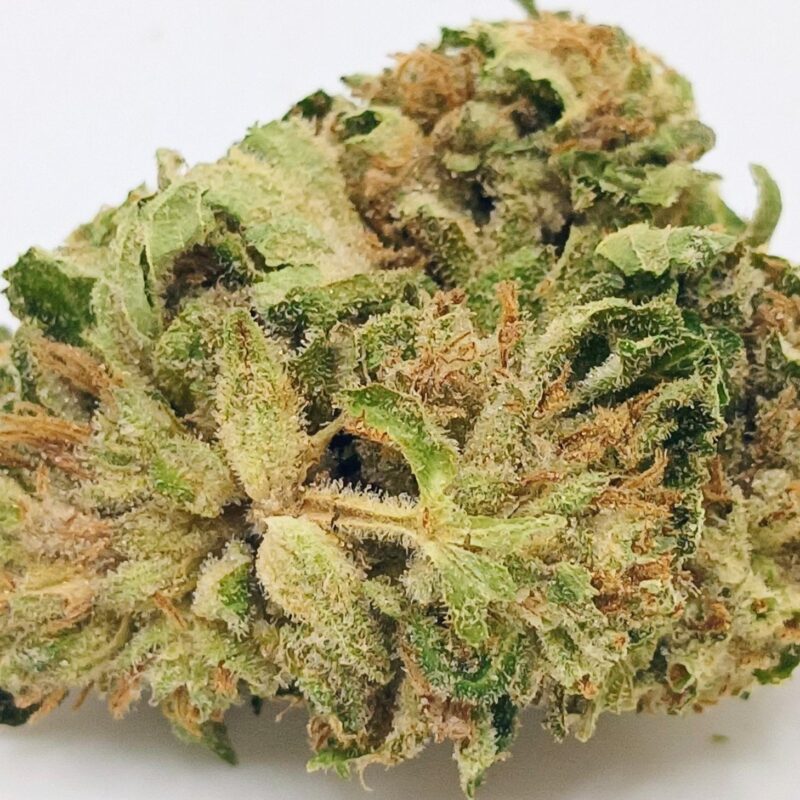 💪Big Bud💪 ★★★☆☆ - 14g