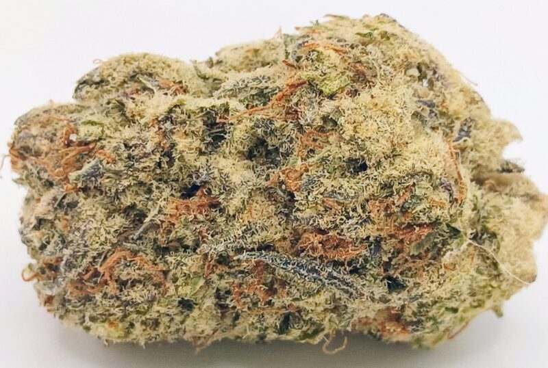 🍧Gelato 41🍨 ★★★★☆ - 14g