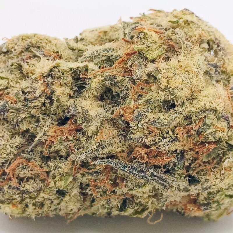 🍧Gelato 41🍨 ★★★★☆ - 14g
