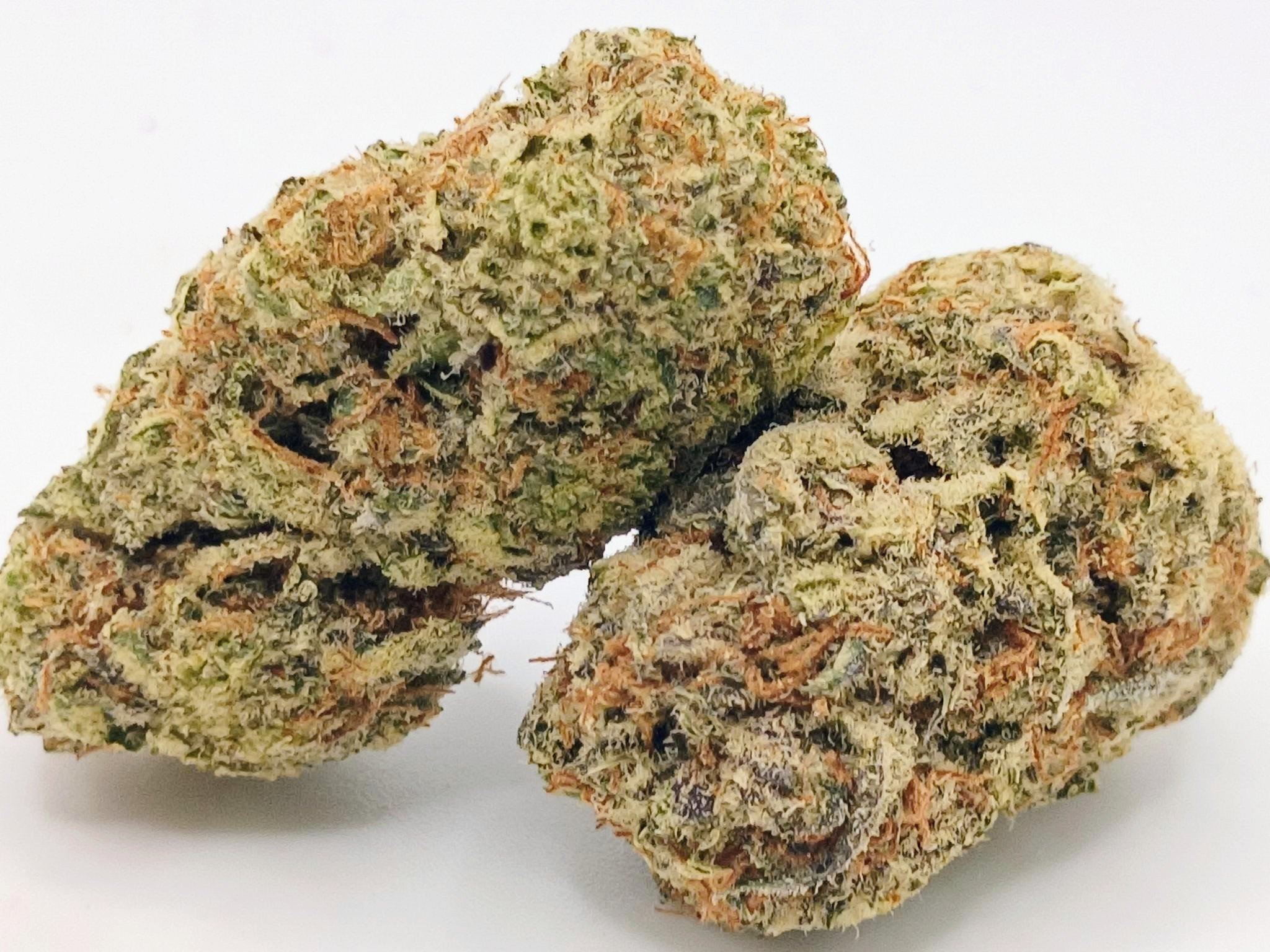 🍧Gelato 41🍨 ★★★★☆ - 14g - Image 2