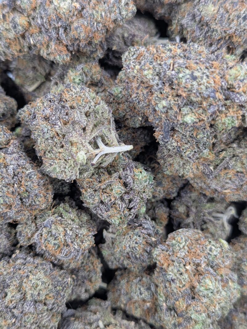 Ghost Train Haze ★★★★☆ - 112g [BULK]