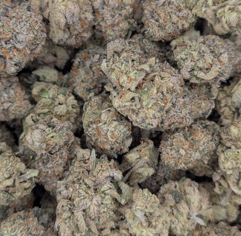 Orange Cookie MAC ★★★★☆ - 112g [BULK]